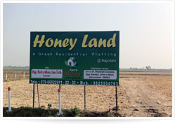 Honey Land